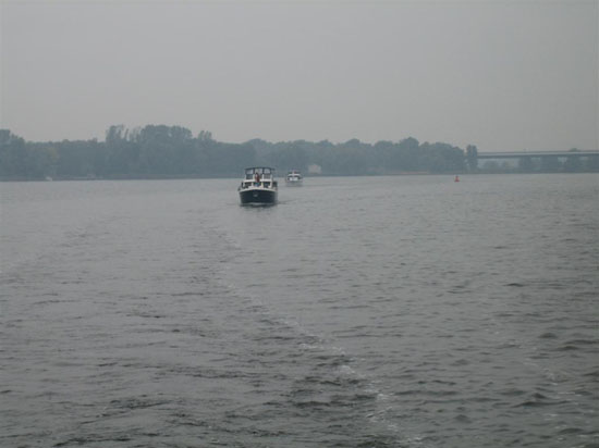 IMG_8536 (Large)