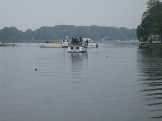 IMG_8557 (Large)