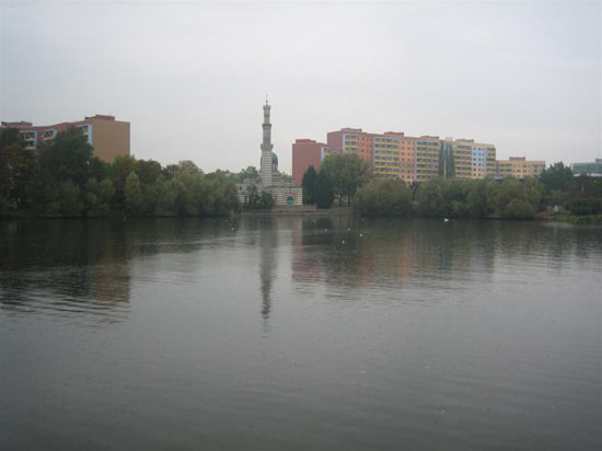 IMG_8568 (Large)