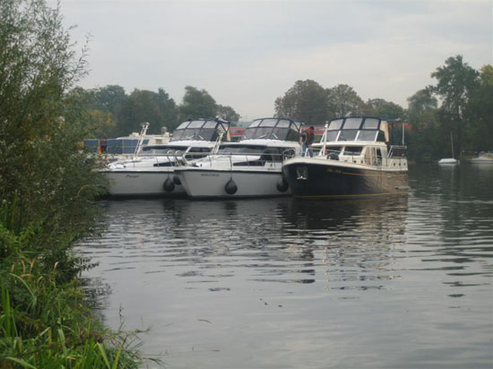 IMG_8624 (Large)