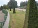 IMG_8589 (Large)
