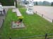 IMG_8597 (Large)