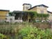 IMG_8611 (Large)