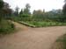 IMG_8621 (Large)