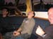 IMG_8738 (Large)