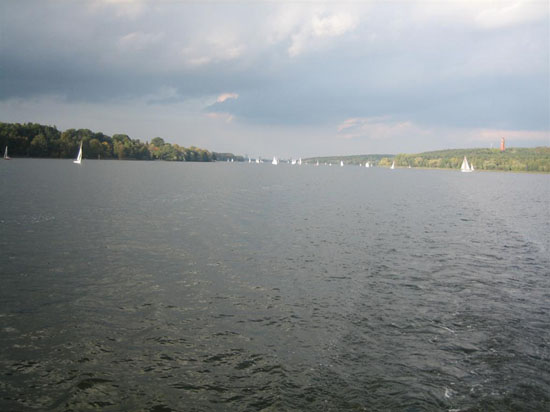 IMG_9015 (Large)