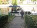IMG_8834 (Large)